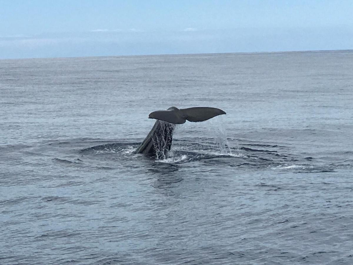 Hrlos Piratas - Ferien Haus La Palma - Good Wlan !! Tijarafe Zewnętrze zdjęcie