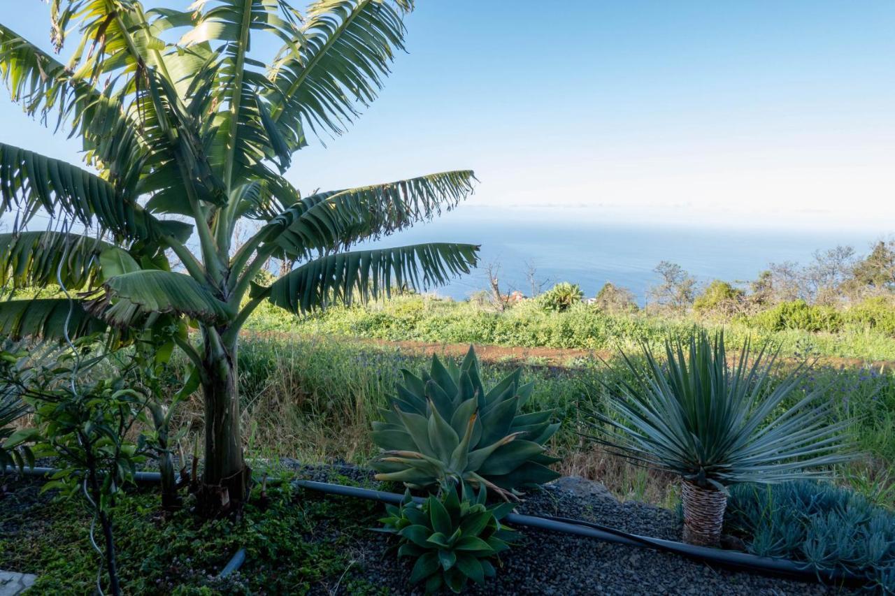 Hrlos Piratas - Ferien Haus La Palma - Good Wlan !! Tijarafe Zewnętrze zdjęcie