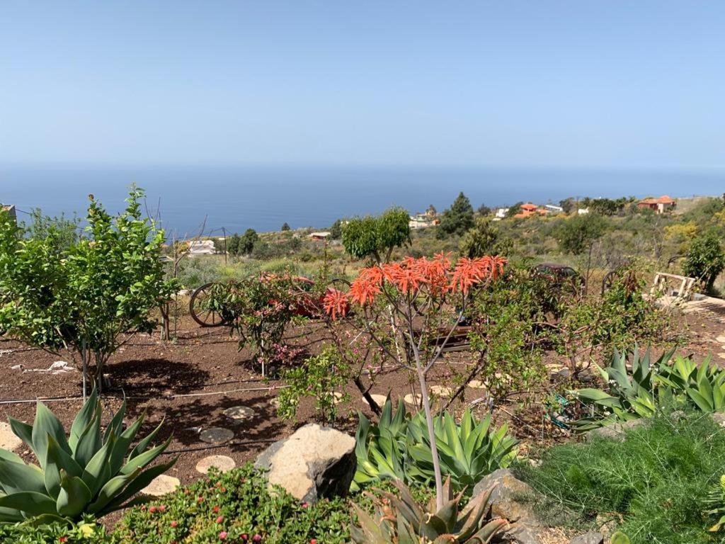 Hrlos Piratas - Ferien Haus La Palma - Good Wlan !! Tijarafe Zewnętrze zdjęcie